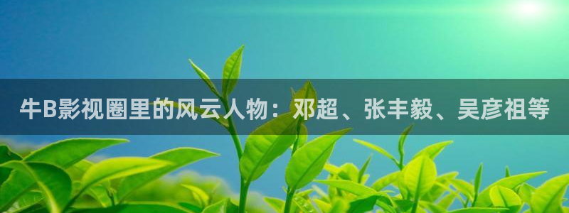 飘花影院手机看：牛B影视圈里的风云人物：邓超、张丰毅、吴彦祖等