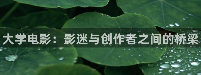 飘花影院手机版电视剧：大学电影：影迷与创作者之间的桥梁