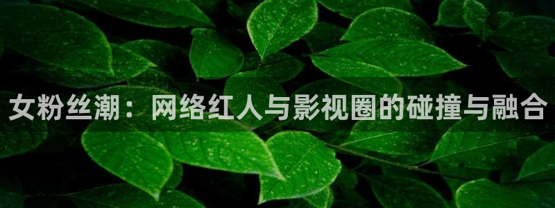 飘花影院6080：女粉丝潮：网络红人与影视圈的碰撞与融合